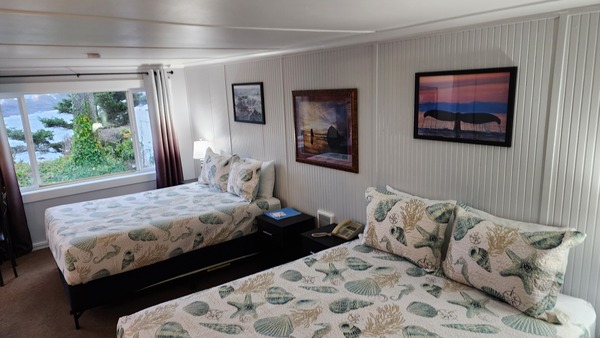 Room 9 Double Queen Photo 1