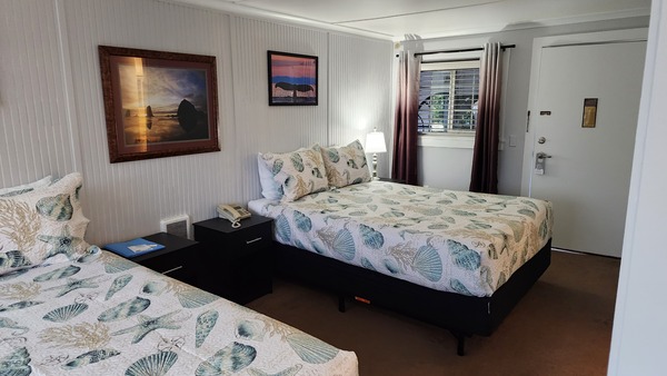 Room 9 Double Queen Photo 4