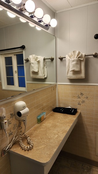 Room 9 Double Queen Photo 7