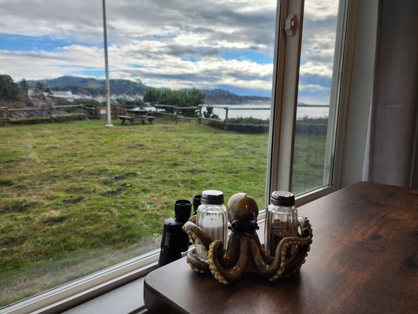 Room 5 Ground Floor Queen, Sliding Door Photo 8