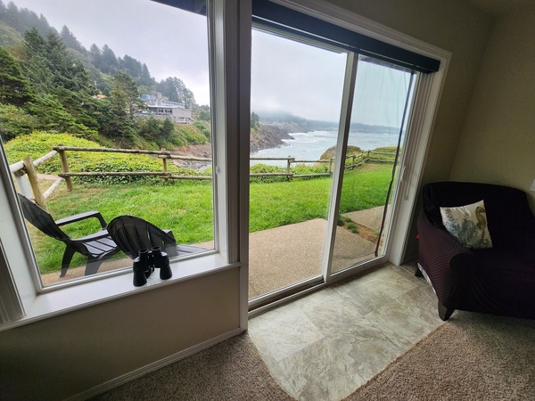 Room 15 - ADA Double Queen w/Sliding Door to Patio Photo 5