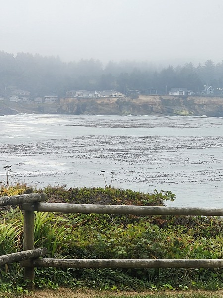 Lower East 16 King Photo 5